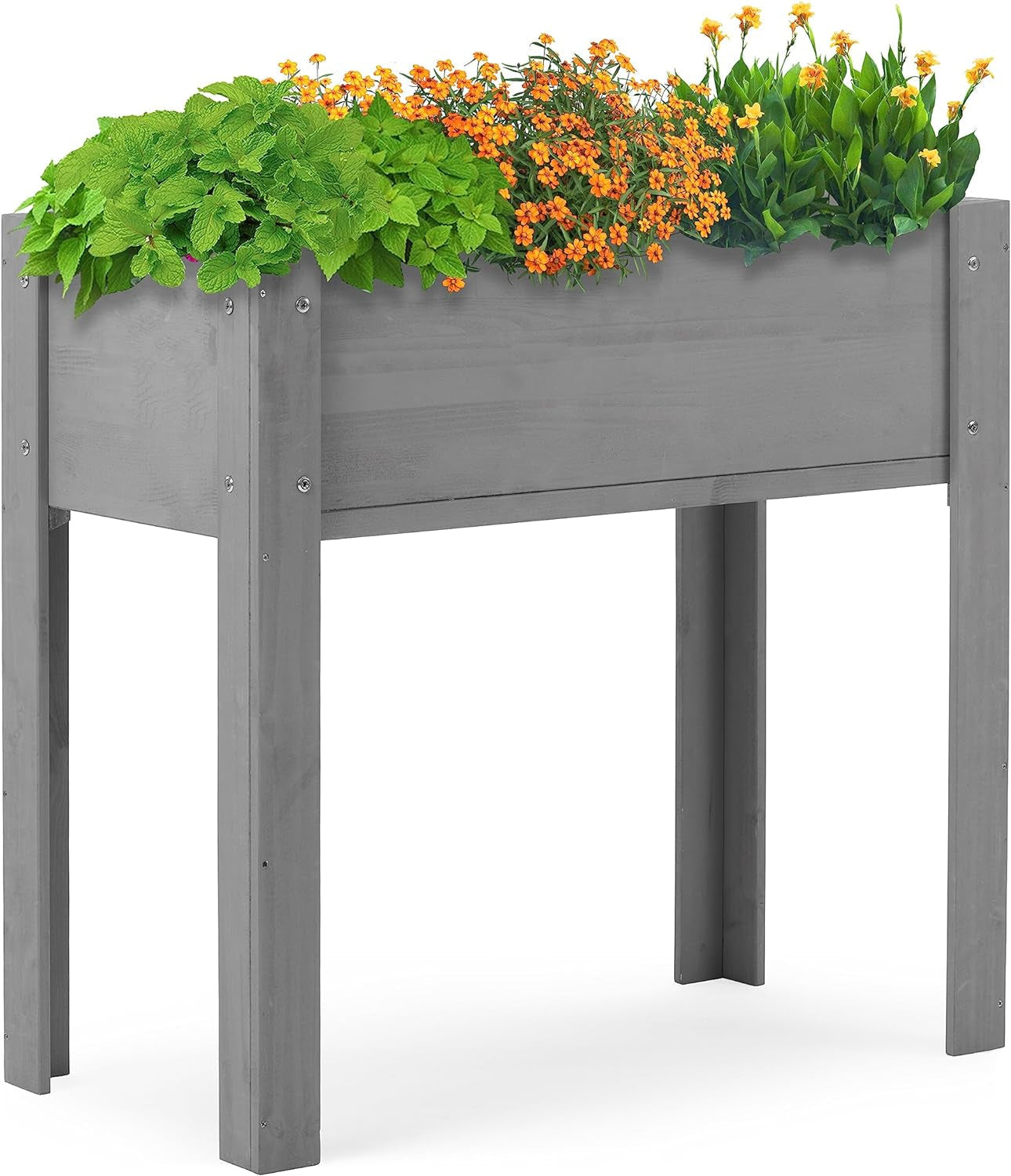 Frendorf | 31X31X16 Zoll Erhöhter Gartenbeet mit Beinen, Erhöhte Holzpflanzbox für Outdoor-Pflanzen Blumen Früchte Gemüse Kräuter Anbau