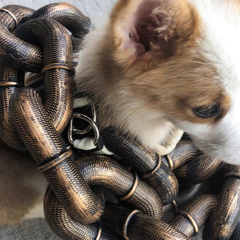 Frendorf | BeastChain - Humor und Stil für sichere Spaziergänge