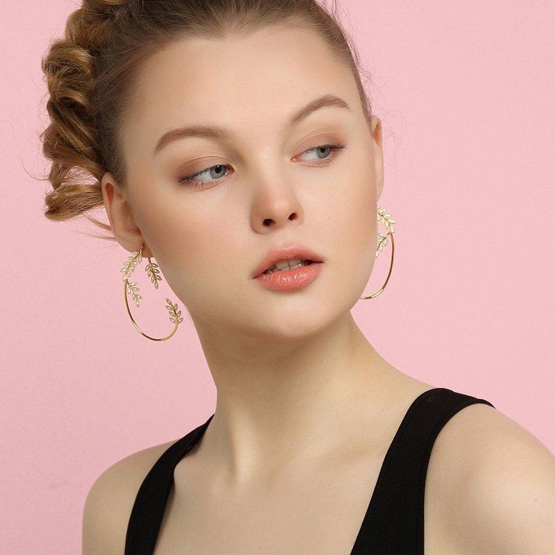 Frendorf | Glänzende Zirkon Ohrringe