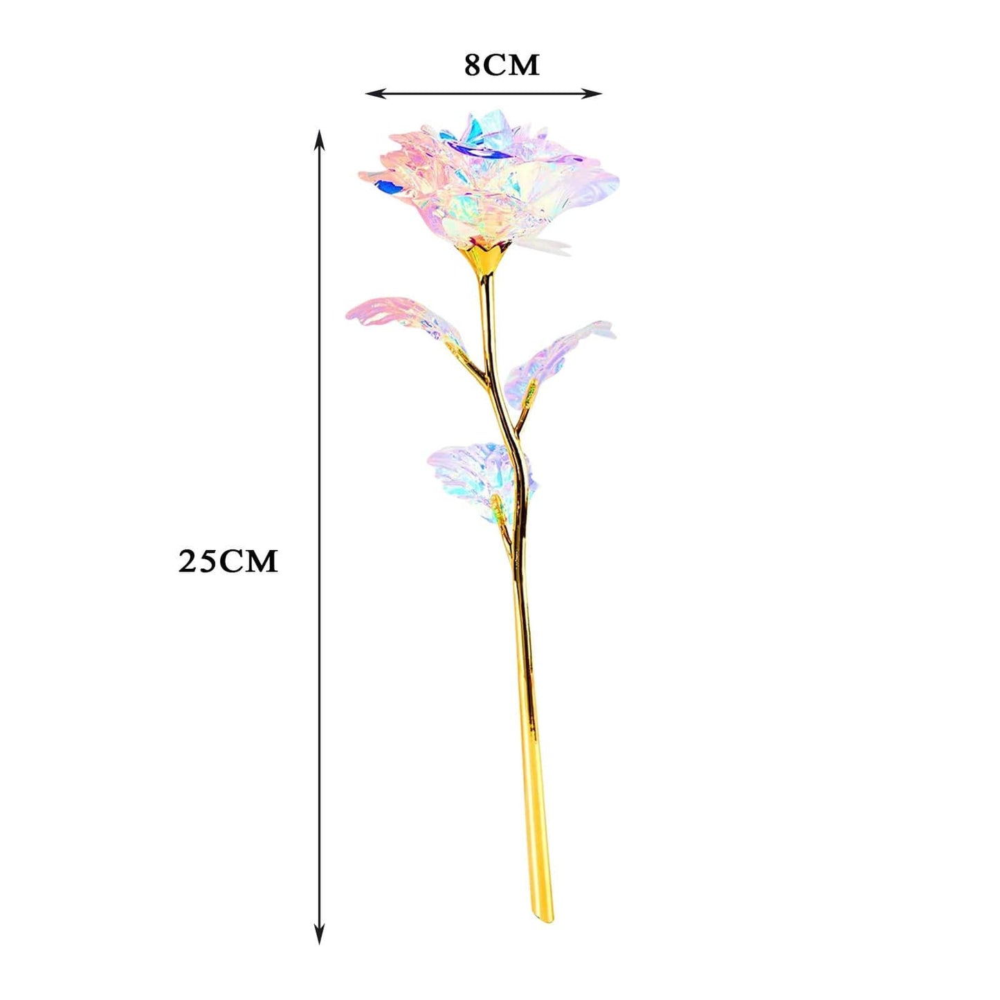 Frendorf | 10 Stück Galaxy Rosen