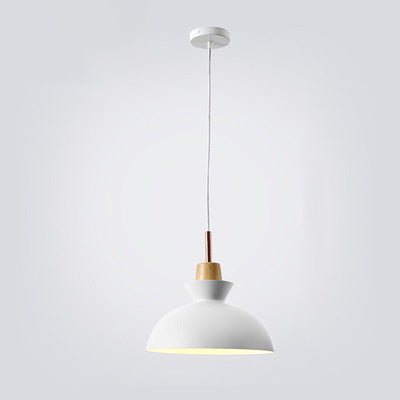 Frendorf | AuroraLite Nordic Pendelleuchte | Metall-Design | 1-Licht | Moderne Farboptionen