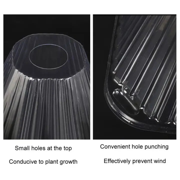 Frendorf | 20 Stück Pflanzenschutzhauben für Setzlinge, Gemüse & Blumen