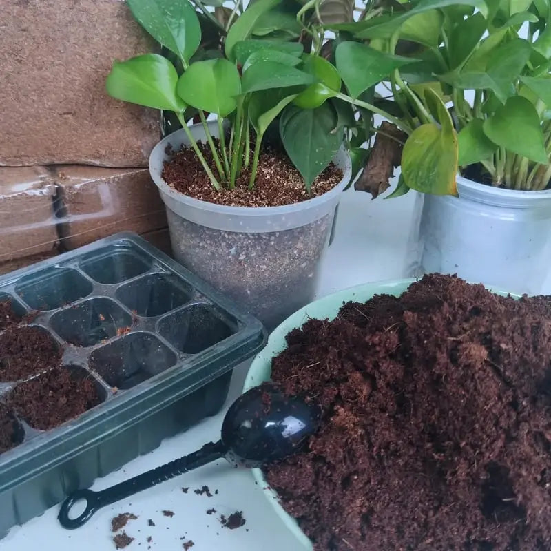 Frendorf | 2er-Set Kokoserde Briketts für Pflanzen – organisches Anzuchtsubstrat mit hoher Wasserspeicherung!