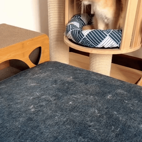 Frendorf | 3-in-1 Haustierhaarbürste - PetClean Pro