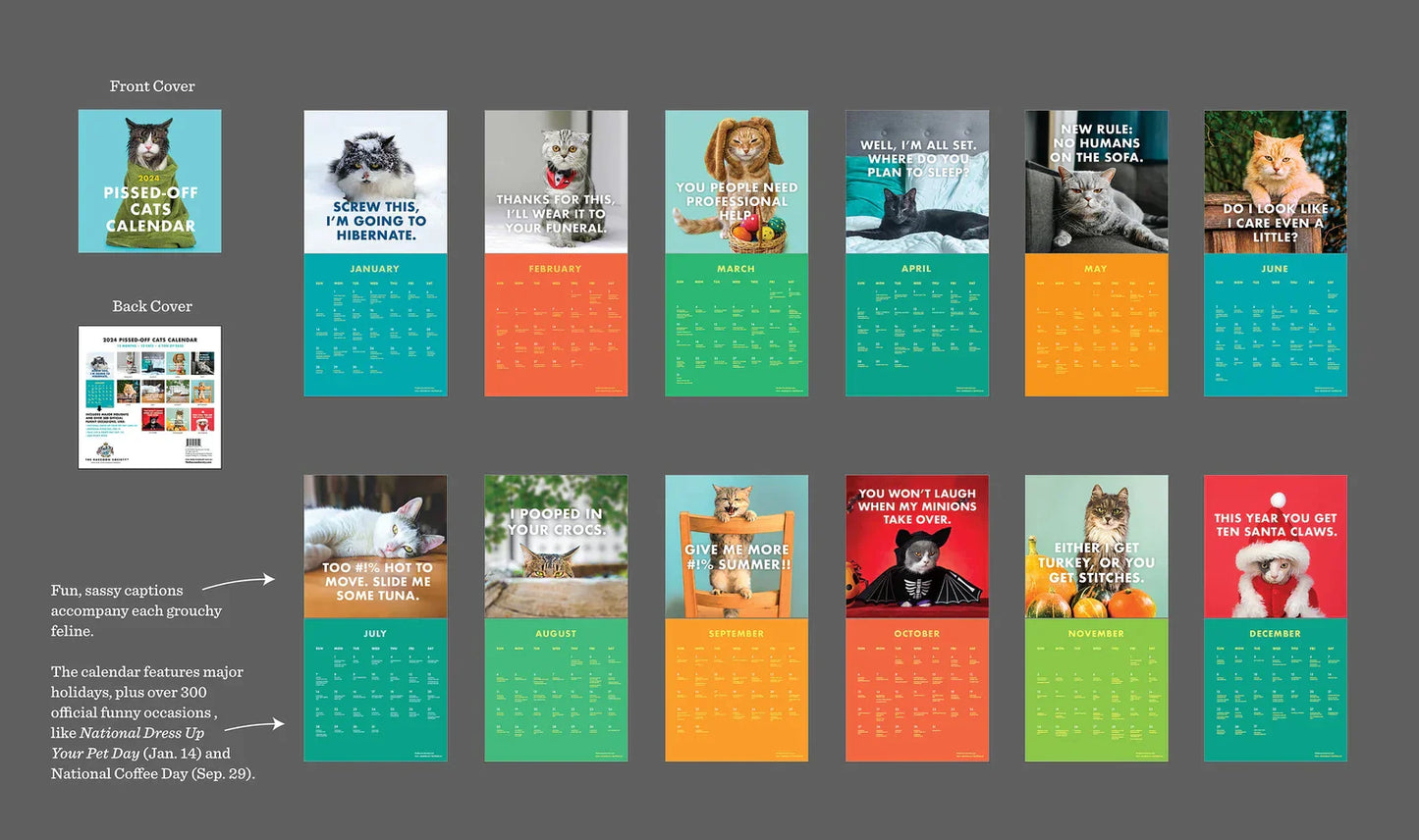 Frendorf | 2024 Verärgerte Katzen Wandkalender