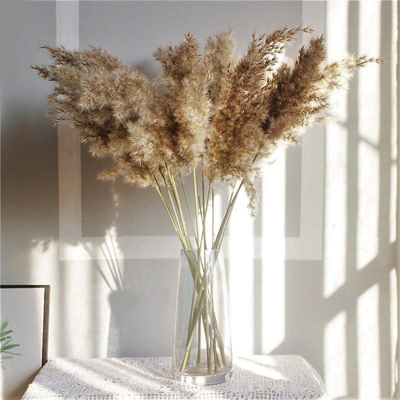 60 cm natürlicher, echter, braun-beiger getrockneter Pampasgrasstrauß │ flauschige Feder für moderne Boho-Heimdekoration