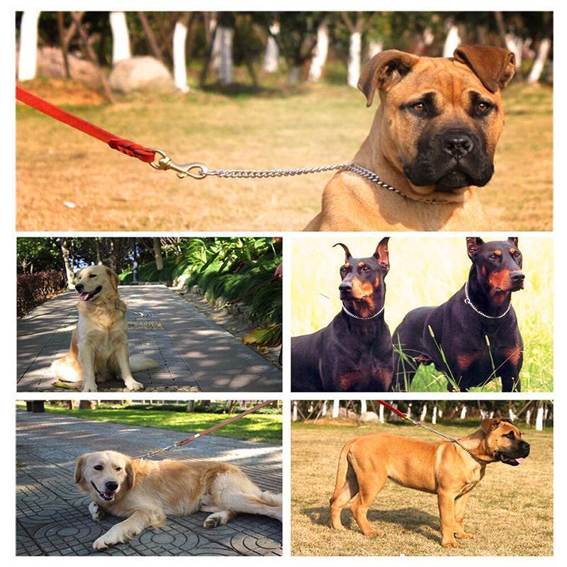 Frendorf | 304 Edelstahl Choker P Ketten Schlangen Halskette