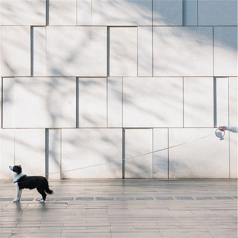 Frendorf | GlowLeash | Automatische Hundeleine | LED-Licht für Sicherheit | Ergonomischer Griff