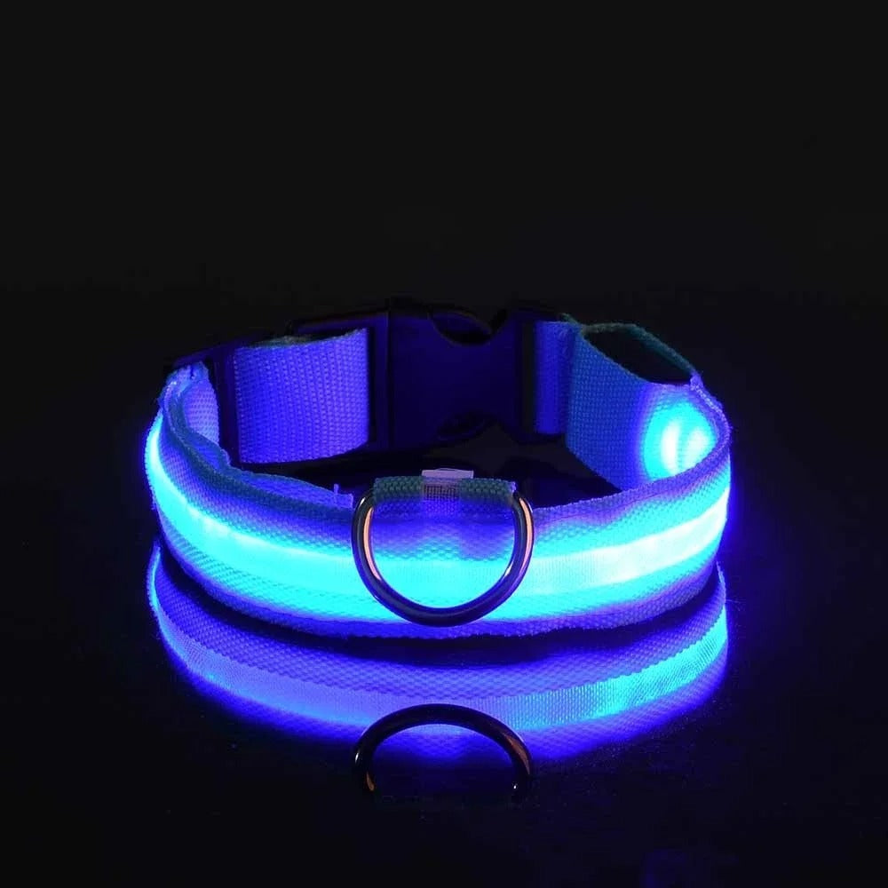 Frendorf | BrightPaws LED Leine und Leuchthalsband | Sicherheitsset für Hunde | Sichtbarkeit & Stil