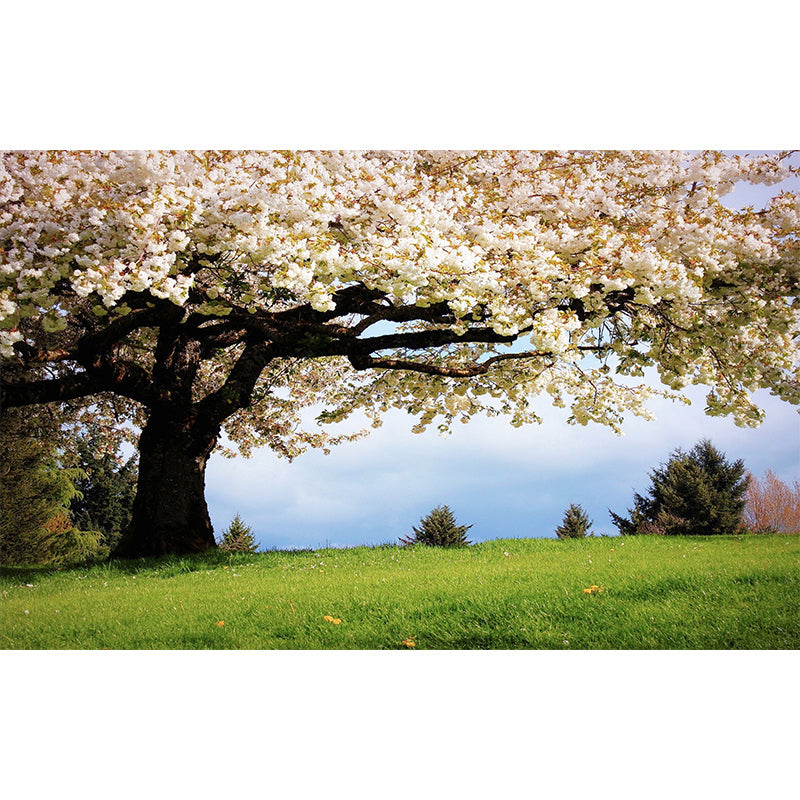 Frendorf | Beige en Groene Minimalistische Muurdecoratie Behang Gepersonaliseerde Maat Sakura Bloesem Muurdecoratie voor Gastenkamer
