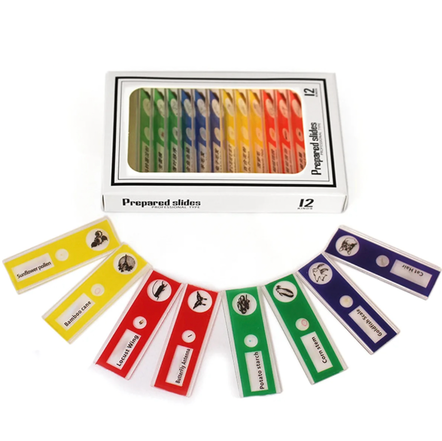 Frendorf | PocketScope - Taschenmikroskop für faszinierende Entdeckungen