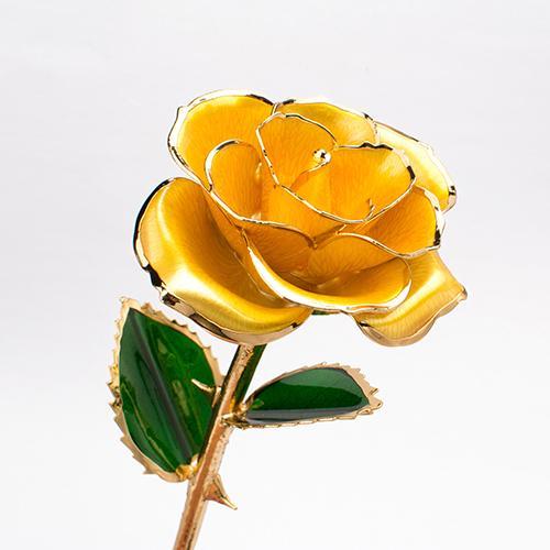 Frendorf | Bloom Eternal 24K Gold Rose
