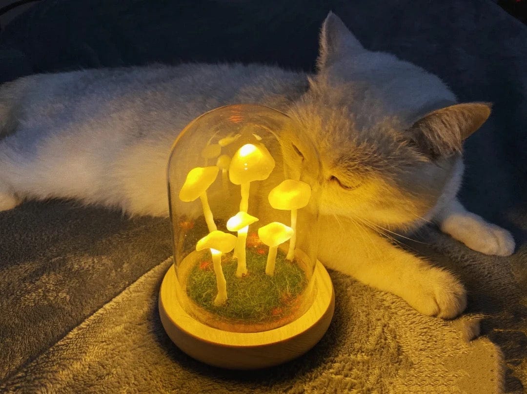 Frendorf | Bezaubernde DIY-Pilz-Lampe für Heimdekoration