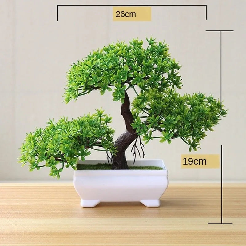 Kleine Baumtopf Bonsai Pflanzen