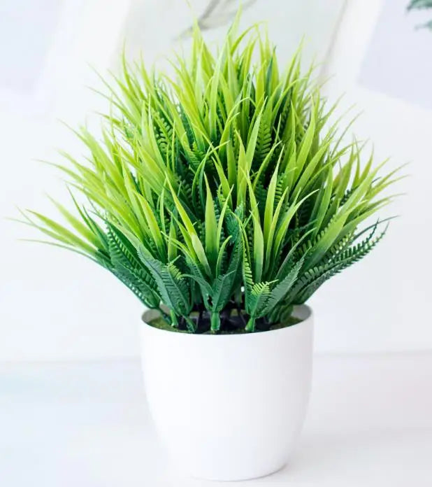 Kleine Baumtopf Bonsai Pflanzen