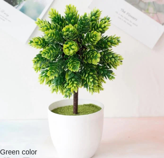 Kleine Baumtopf Bonsai Pflanzen