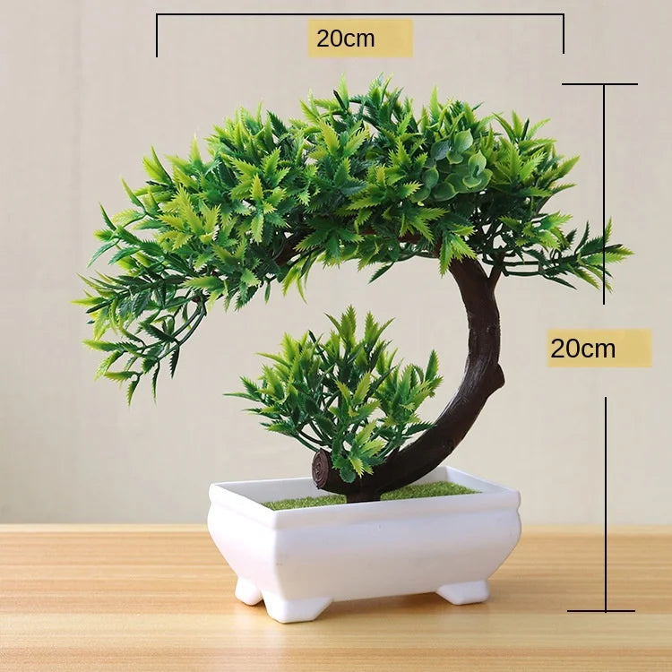 Kleine Baumtopf Bonsai Pflanzen