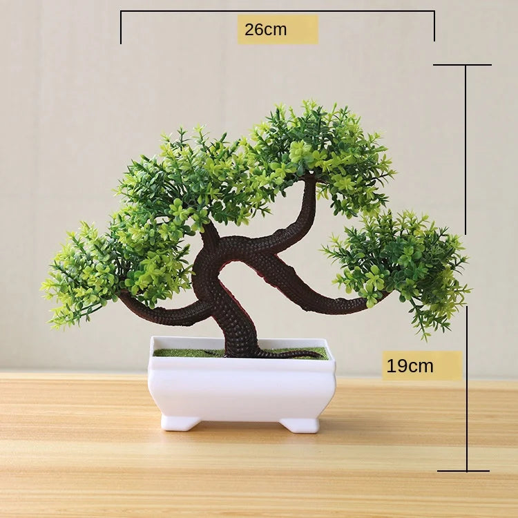 Kleine Baumtopf Bonsai Pflanzen