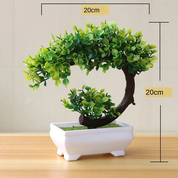 Kleine Baumtopf Bonsai Pflanzen