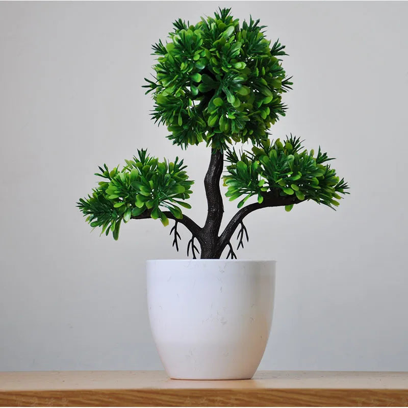 Kleine Baumtopf Bonsai Pflanzen