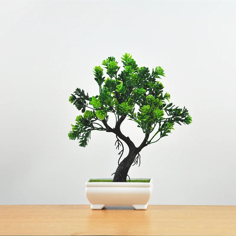 Kleine Baumtopf Bonsai Pflanzen