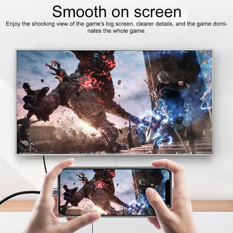 Frendorf | 2 in 1 4K 60Hz DP Male zu USB-C / Type-C Lade + USB-C / Type-C Weiblich Adapter