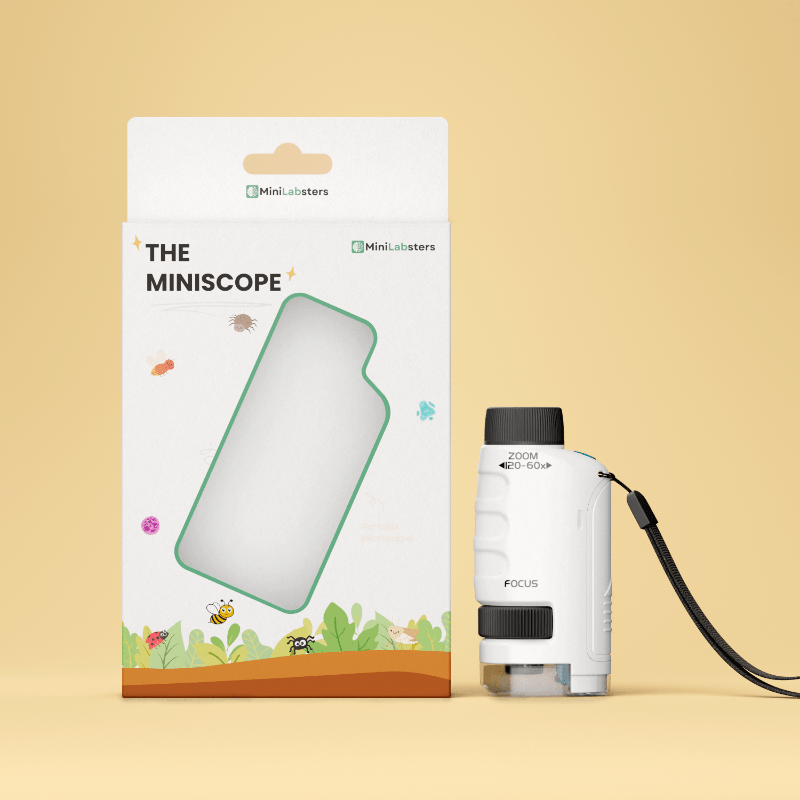 Frendorf | Tragbares Taschenmikroskop für Kinder