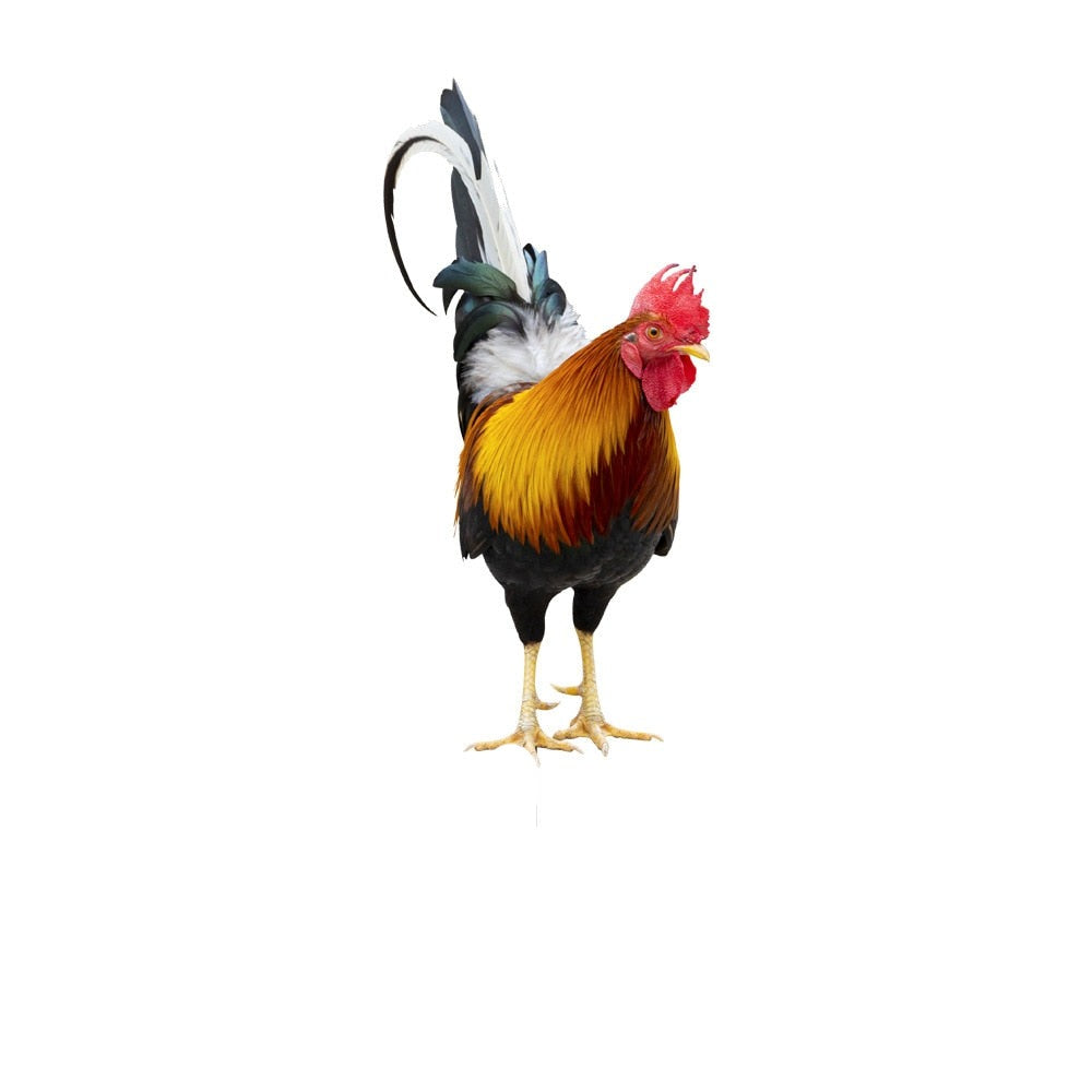 Gartenfigur: Gefiederte Schönheit