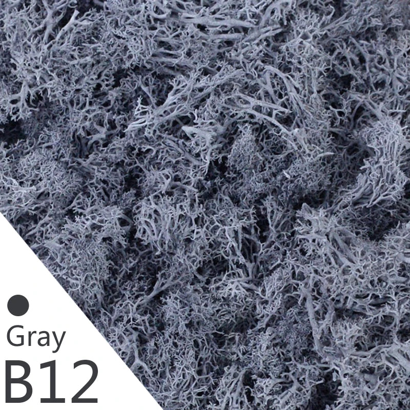 Frendorf | Künstliches Moosgras – 40g/20g Ewiges Lebensmoos für Wohnhausgarten Wanddeko, DIY Mikrolandschaft Zubehör