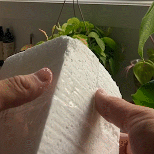 Frendorf | Blossy - Kristall-Pilz-Gläser