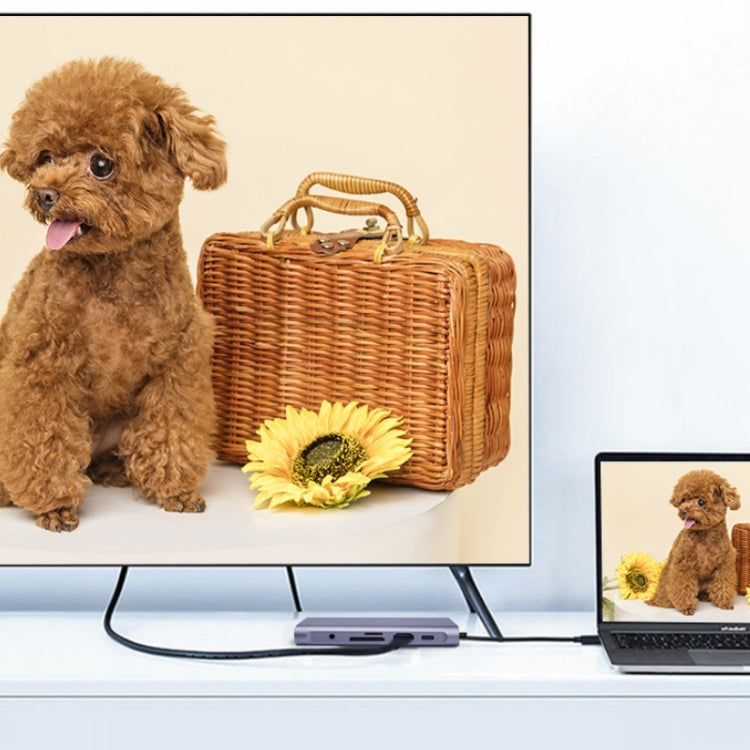 Frendorf | 10 in 1 Type-C Multi-Function Docking Station PD Schnelllade HUB