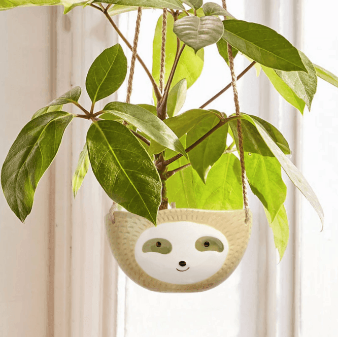 Keramische Faultier hängende Pflanzen Töpfe