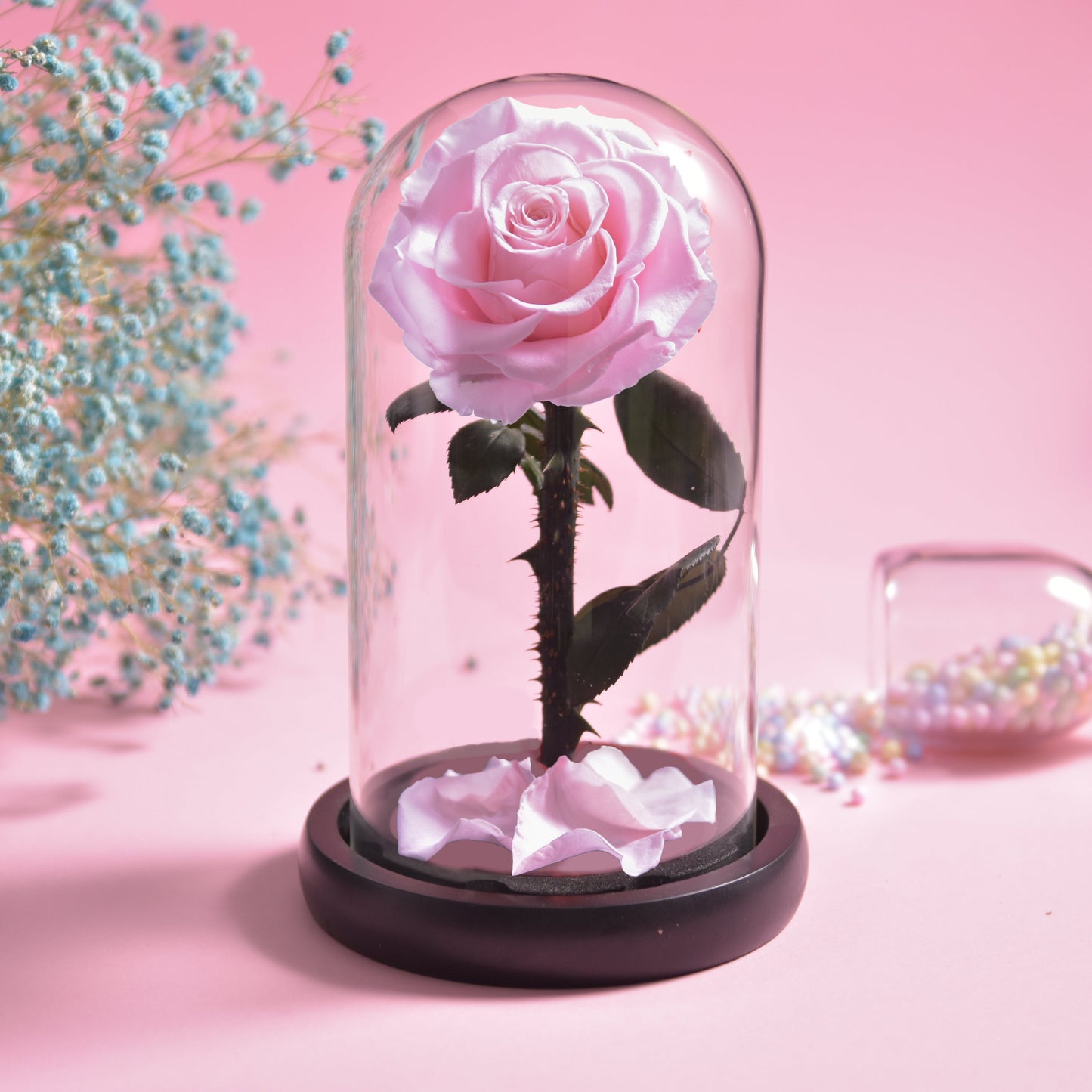 Forever Rose – Immerwährende Rose in Glaskuppel, 3 Tage Lieferzeit – Rosa
