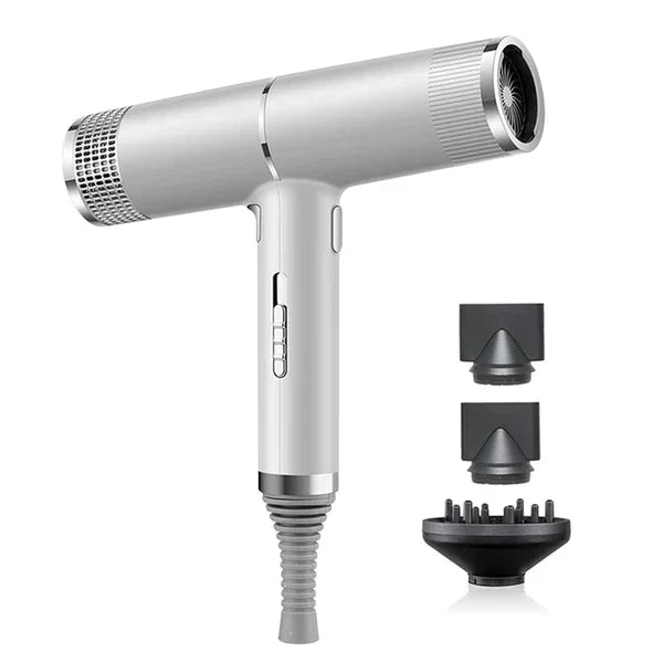 Frendorf |  Professioneller ionischer Haartrockner