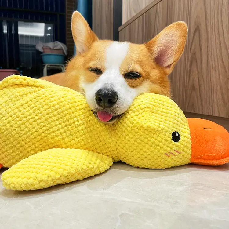 Frendorf | Beruhigend Haltbar Ente