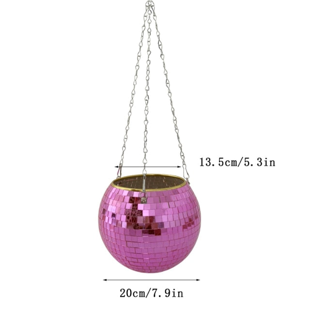 Disco Ball Pflanze