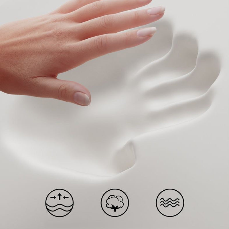 Frendorf | SpineRelax – Schmerzfreies Sitzen mit perfekter Rückenstütze!