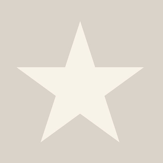 Frendorf | Grau-beige metallische Vlies-Tapete mit Sternen 346826, Precious, Origin