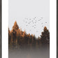 Vögel über dem Wald