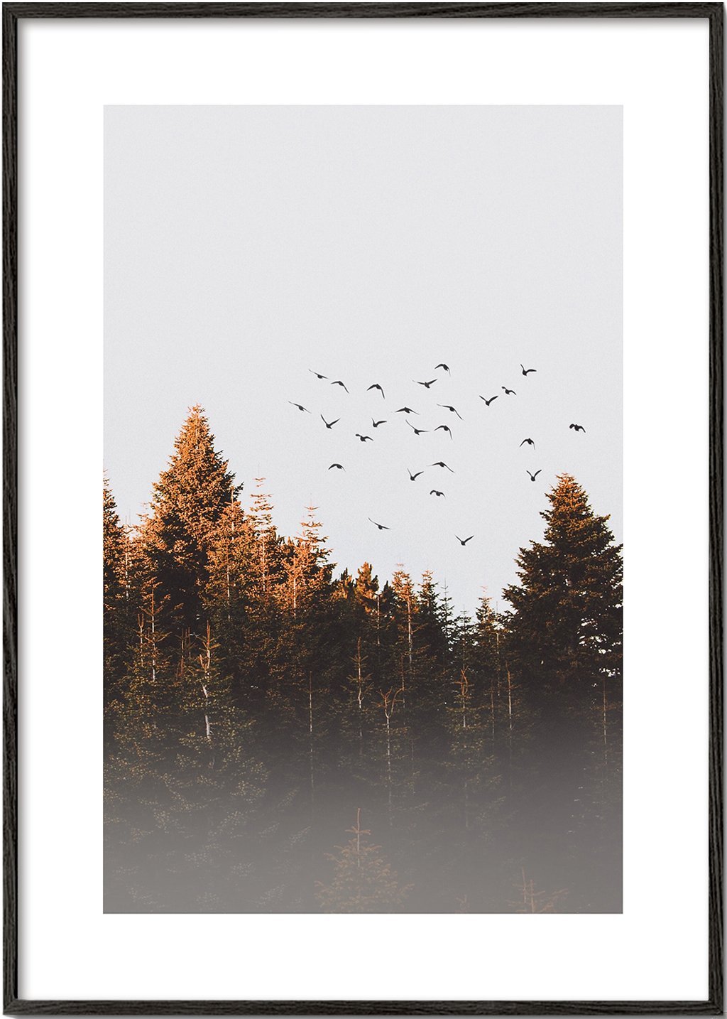 Vögel über dem Wald