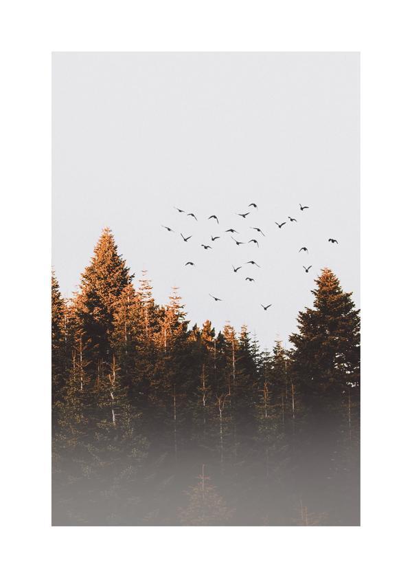 Vögel über dem Wald