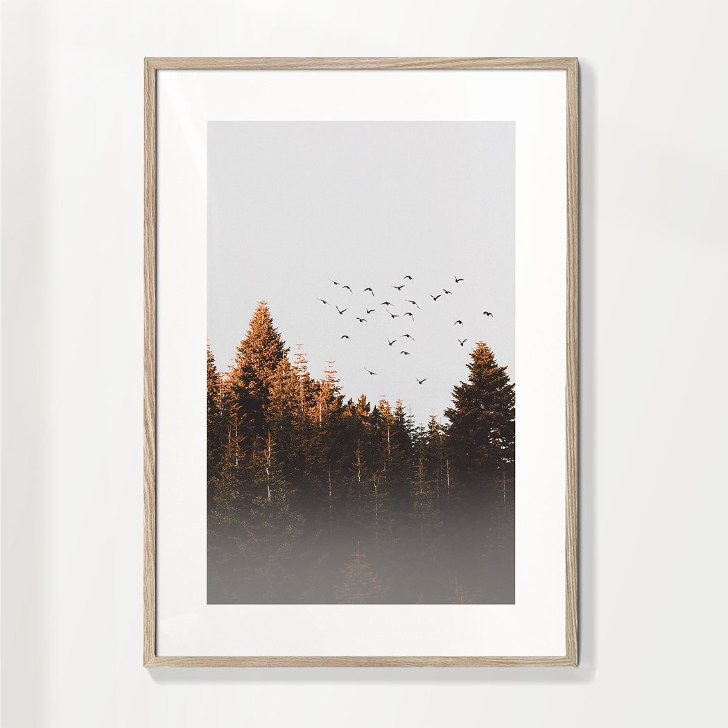 Vögel über dem Wald