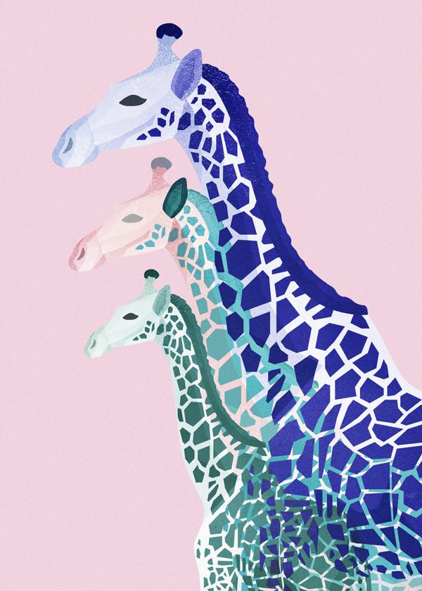 Giraffen in Pink