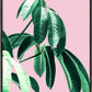 Pink Tropics  2