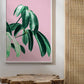 Pink Tropics  2