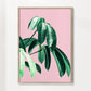 Pink Tropics  2