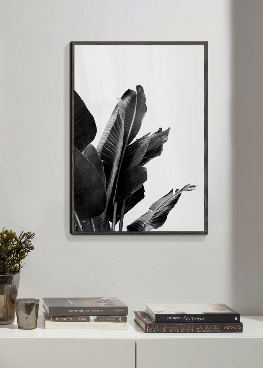 Paradise Bird Plant Schwarz und Weiß 02