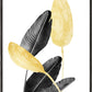 Paradise Bird Pflanze Schwarz, Weiß und Gold 02