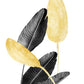 Paradise Bird Pflanze Schwarz, Weiß und Gold 02
