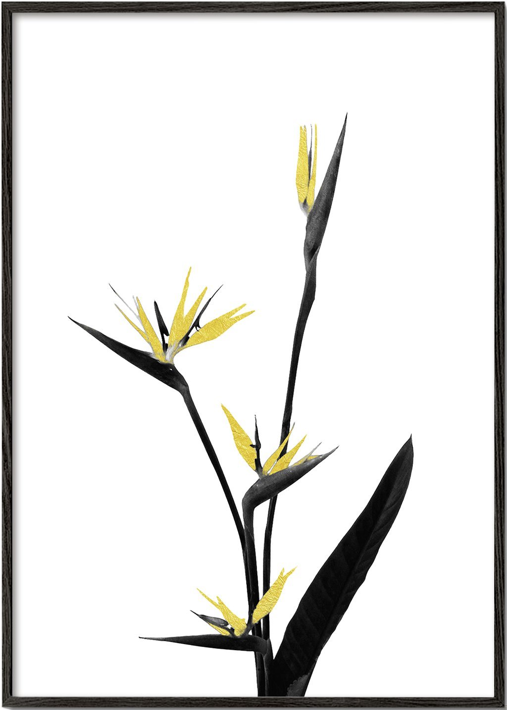 Blumen Minimal Schwarz und Gold 05